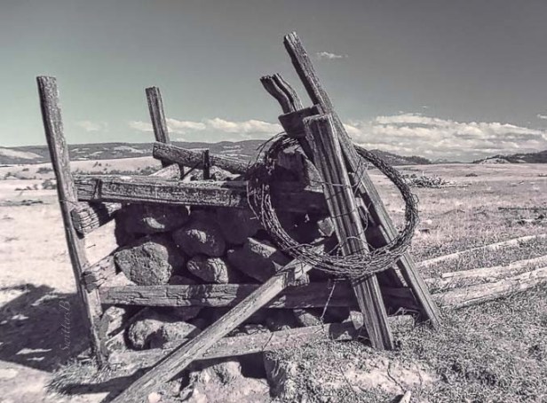 fenceline-SwittersB-barbwire-Oregon-SwittersB