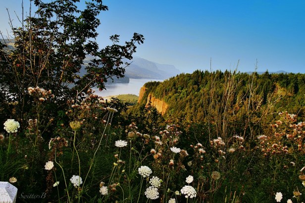 gorge-columbia-river-oregon-swittersb