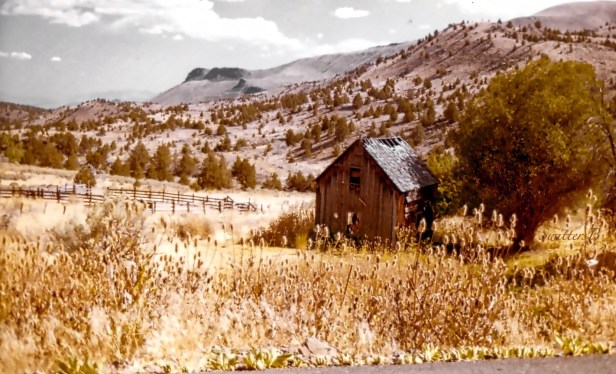 old cabin-ochocos-corral-SwittersB