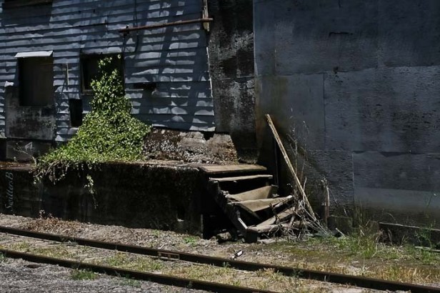 old stairs-rail siding-SwittersB