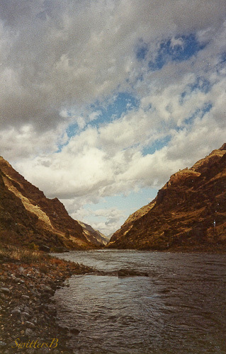 SwittersB-Snake R.-SwittersB