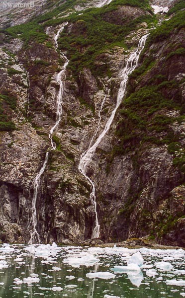 alaska runoff ice-tracy arm-SwittersB