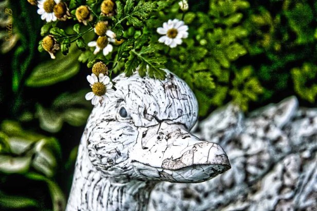 goose-flowers-yard art-peeling-SwittersB-2