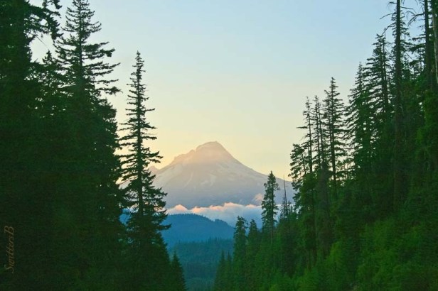 Mt. Hood-Hwy 26-Oregon-SwittersB