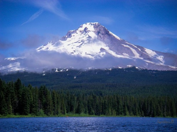 Oregon-Mt. Hood-Trillium L.-SwittersB-7-6-08 -Edit