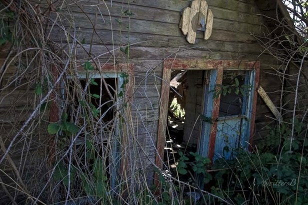 Salmon River-old house-Otis-NBank Rd-SwittersB