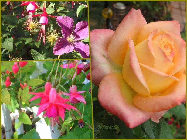 flowers & rose collage-SwittersB