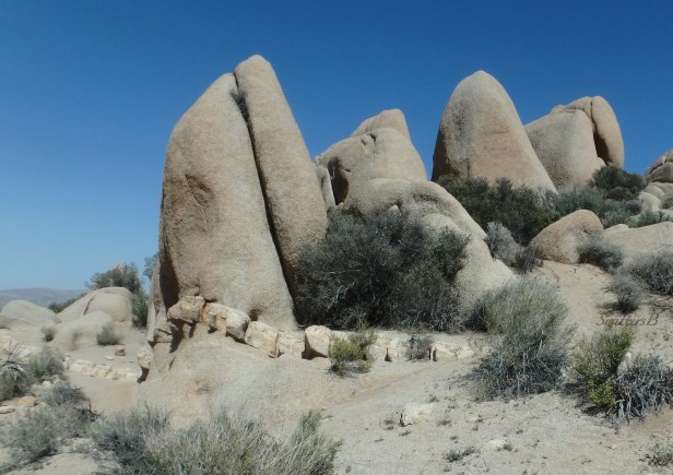 rock formation, Joshua Tree, desert, SwittersB