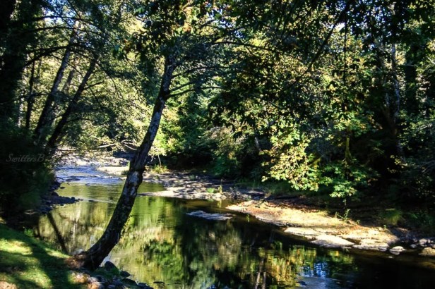 shadows-river-shade-swittersb