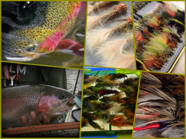 stillwater-flies-trout-swittersb