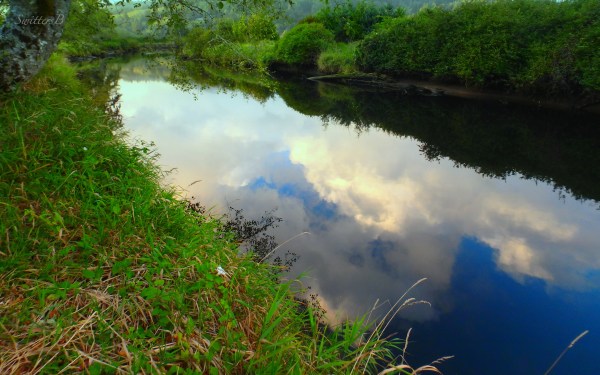 water-reflections-river-Oregon-SwittersB