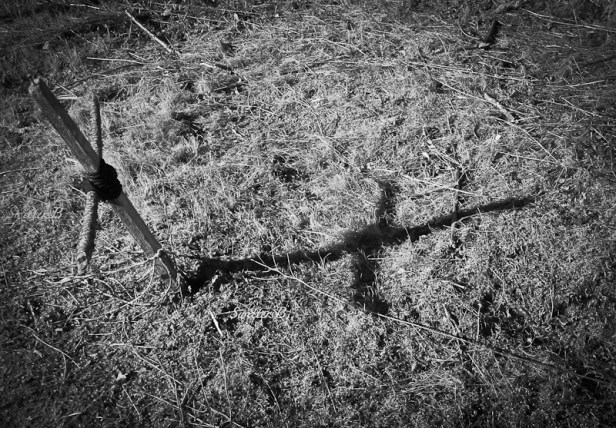 wooden-cross-cemetery-grave-swittersb