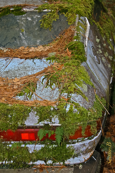 abandoned-car-fixer-upper-swittersb