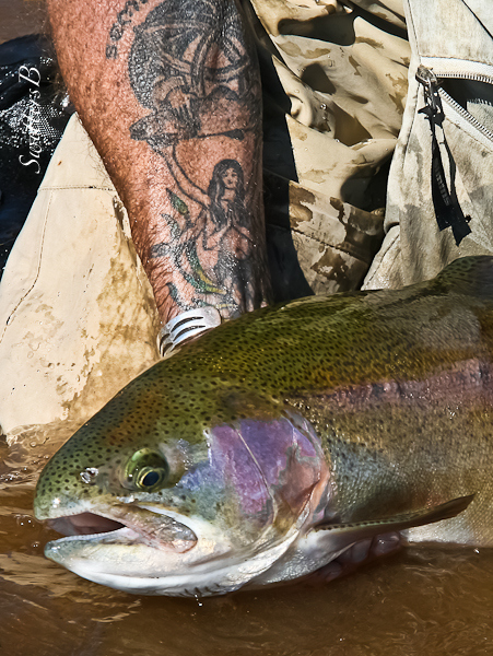 big-trout-tattoo-release-swittersb-evan-muncy