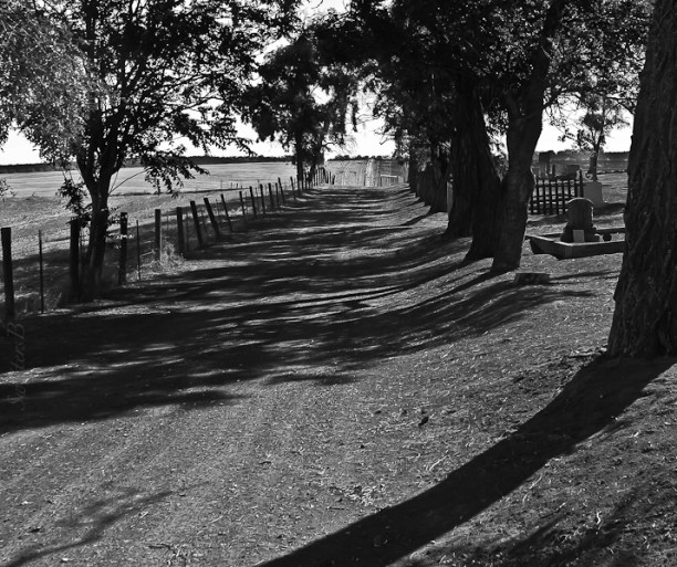 cemetery-lane-2-shadows-oregon-swittersb