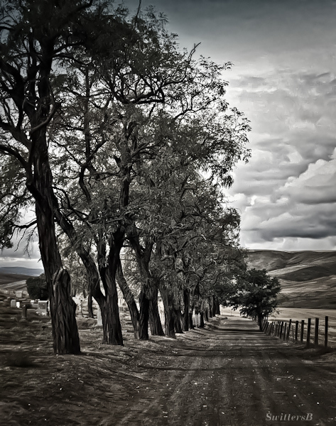cemetery-oregon-swittersb