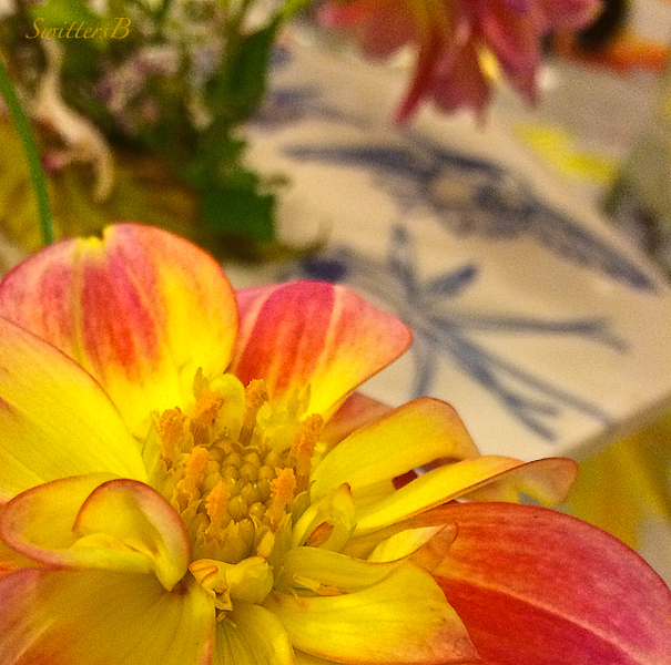 flower-cutting-table-SwittersB