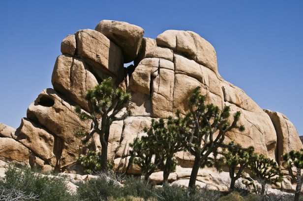gap-in-the-rocks-joshua-tree-np-swittersb