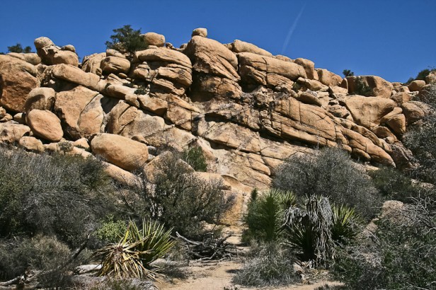 rock-formation-tilt-joshua-tree-np-swittersb