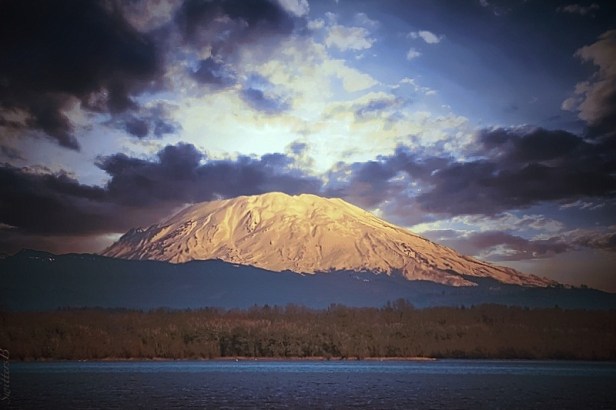 st-helens-sturgeon-lake-sauvie-island-swittersb