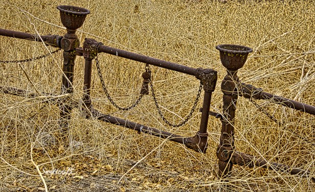 old-cemetery-gate-oregon-swittersb
