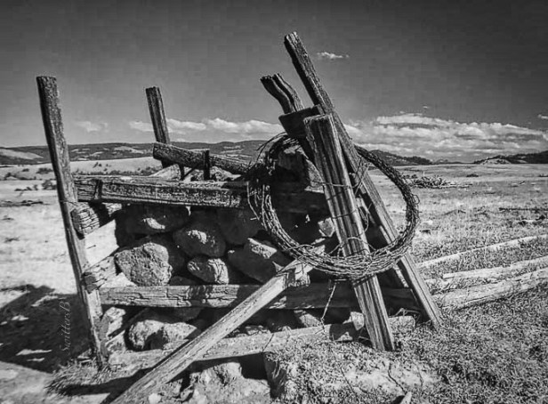 old-fenceline-ne-oregon-swittersb