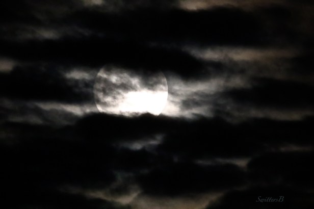 super-moon-clouds-111316-swittersb