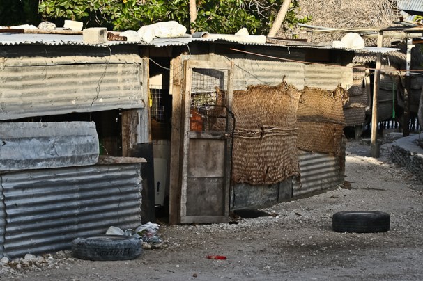 house-kiritimati-christmas-is-swittersb