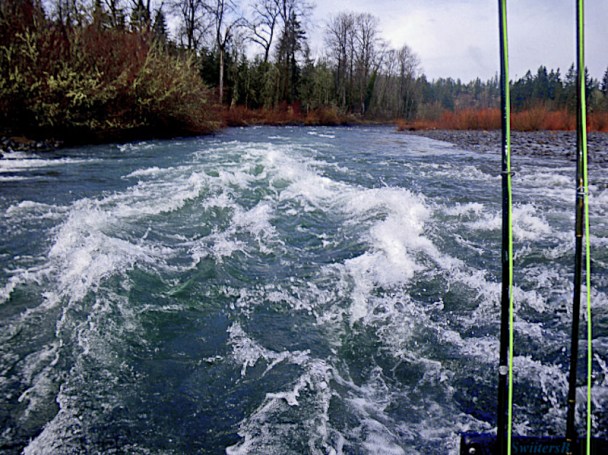 rapids-clackamas river-Oregon-swittersb