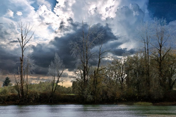 sauvie-island-multnomah-channel-oregon-swittersb