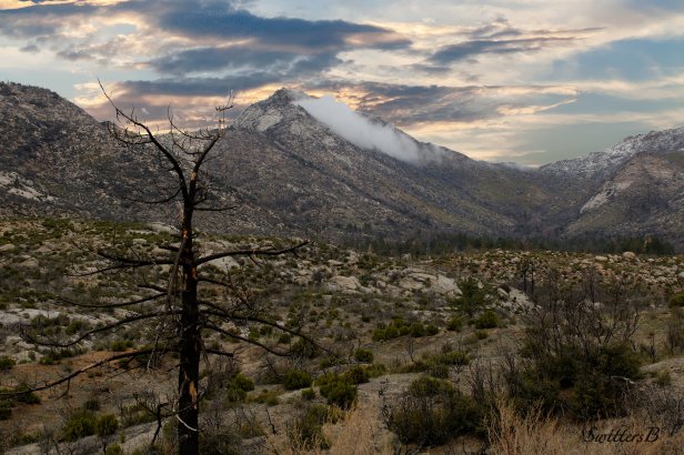 apple-canyon-california-swittersb
