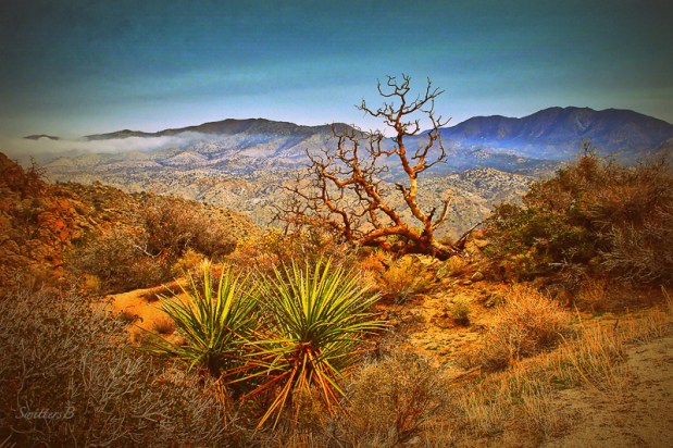 snag-high-desert-hwy-74-swittersb