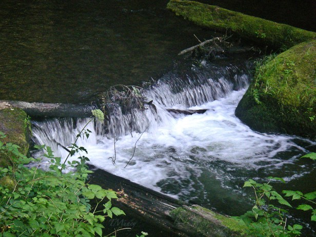 camp-creek-trip-oregon-swittersb-tony-muncy