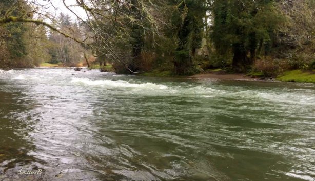 oregon-coast-river-swittersb