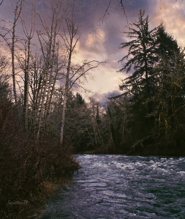 river-trees-sky-oregon-swittersb