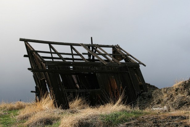 tilt-shed-the-dalles-oregon-swittersb