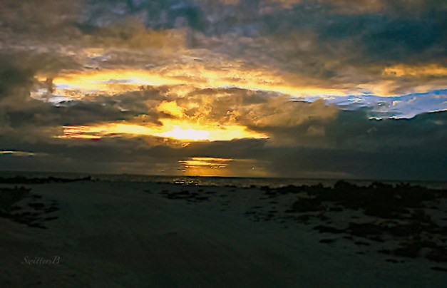 dawn-kiritimati-christmas-is-swittersb