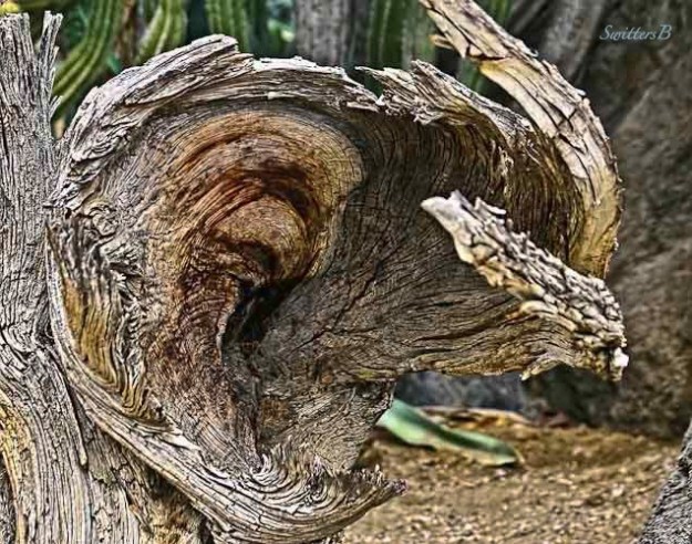 ear-old-wood-rustic-swittersb