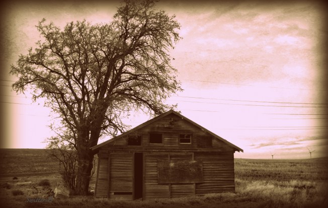 old ranch building-Rufus-Oregon-SwittersB.jpg