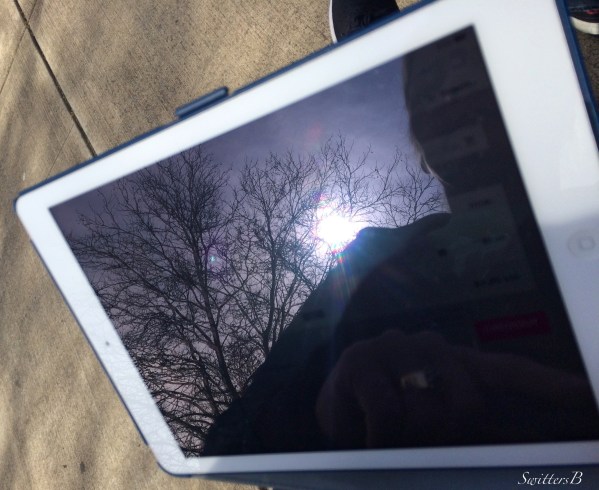 Reflections Upon An iPad-SwittersB