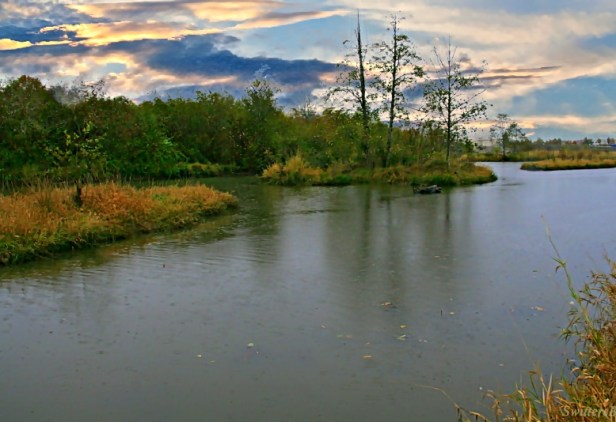 slough-clouds-Portland-SwittersB