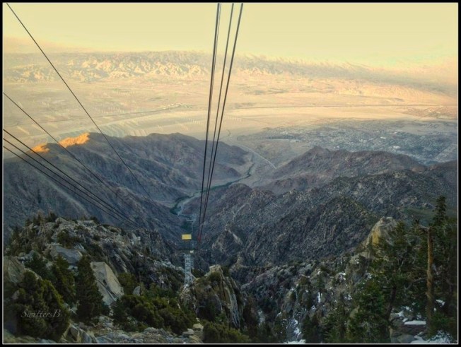 Tram Above-St. Jacinto-Desert-SwittersB