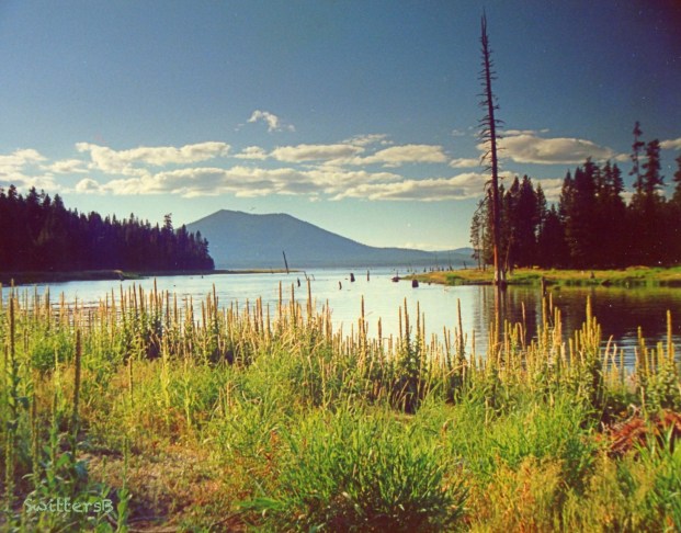 crane prairie lake-SwittersB