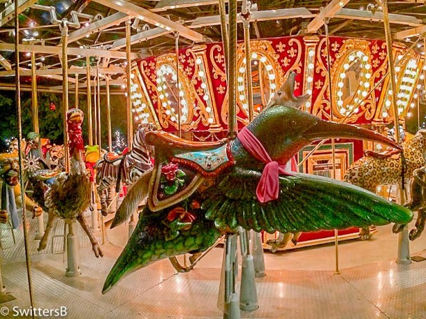 merry go round-hummingbird-SwittersB
