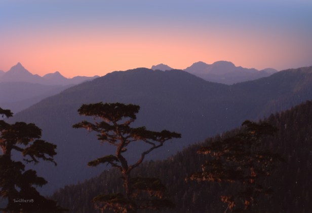 Alaska-mountains-trees-SwittersB