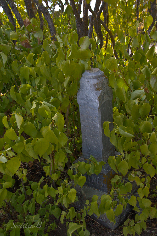 Oregon-headstone-bushes-Lone Pine-cemetery-photography-SwittersB