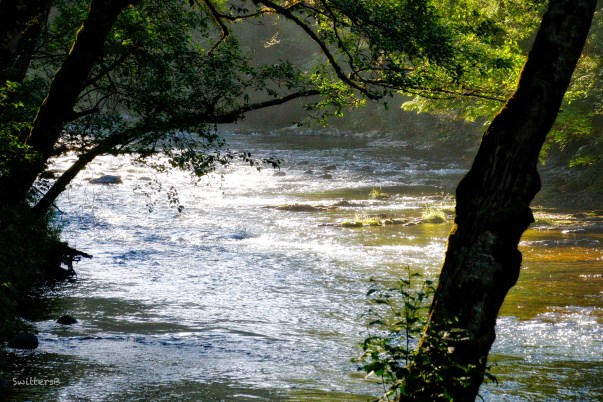 morning-light-river-SwittersB