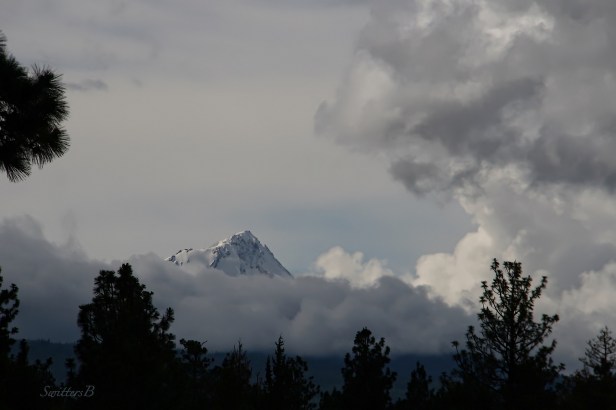 Mt. Hood-clouds-Oregon-SwittersB