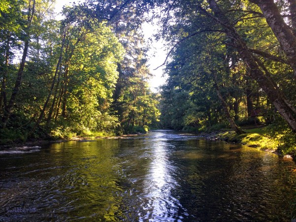Oregon River-Coast-Shade-SwittersB