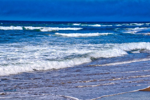 Oregon-Siletz Bay Mouth-SwittersB Lum